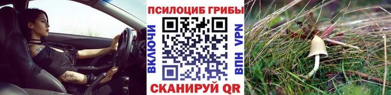 Галлюциногенные грибы Magic Shrooms купить Юрьевец